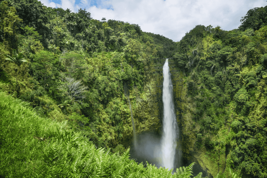 Akaka Falls- us waterfall in hawaii