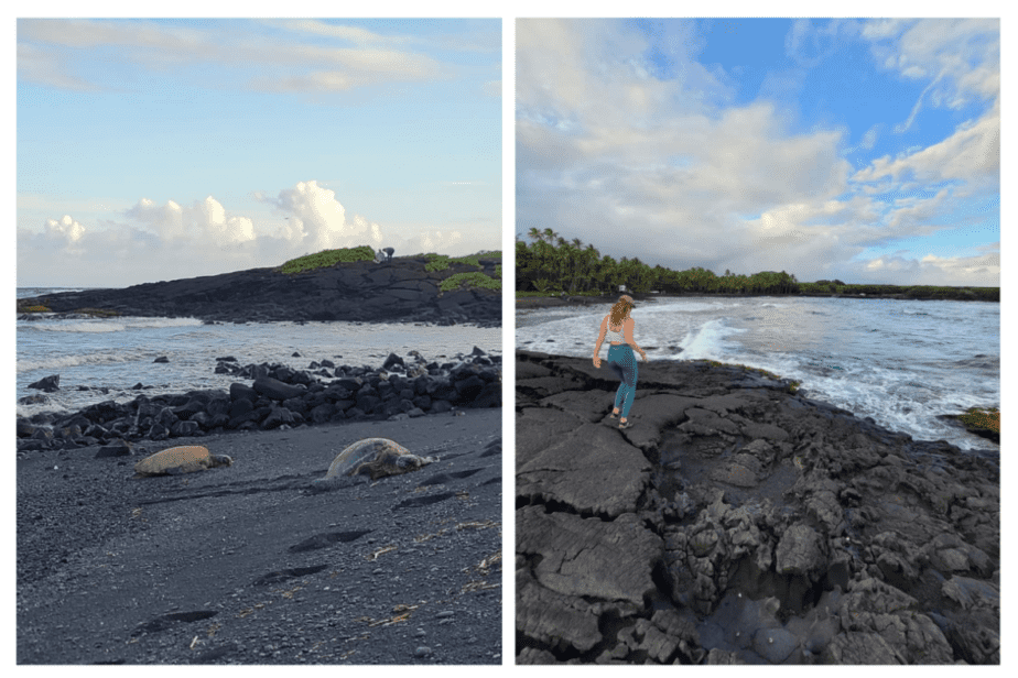 black sand beach with sea turtles near Hawaii Volcanoes National Park 