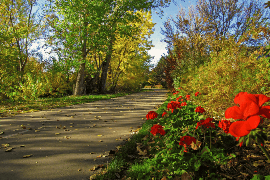 boise greenbelt trail 