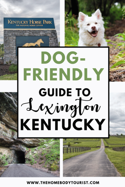 dog-friendly guide to lexington, Kentucky pin for pinterest 