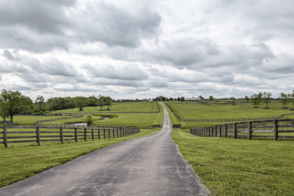 driving through horse county- Things to do in Lexington with dogs 