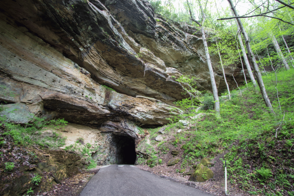 tunnel in road at red river gorge park in lexington- dog-friendly activities in lexington 