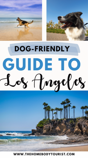 dog-friendly guide to los angeles pin for pinterest 
