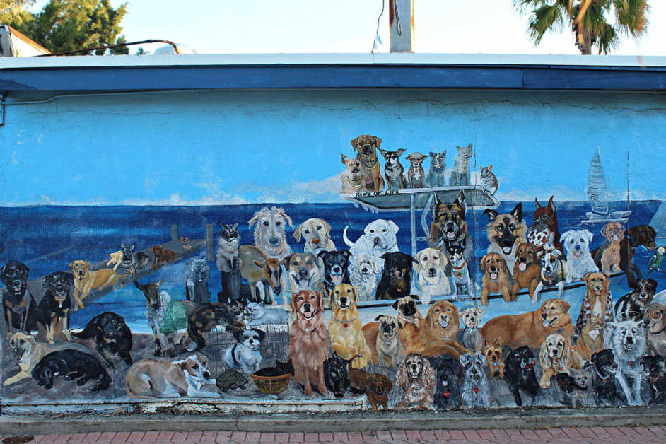dog mural in dundein florida