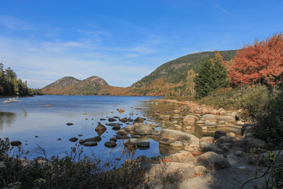 acadia national park with dogs