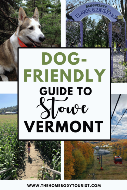 dog-friendly things to do in Stowe, Vermont pin for pinterest