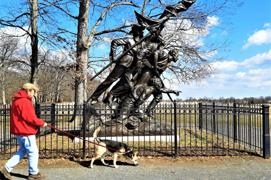dog walking at gettysburg battlefield 