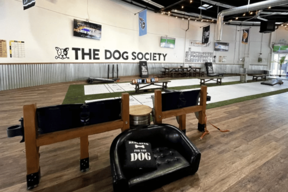 inside view of the dog society in san diego