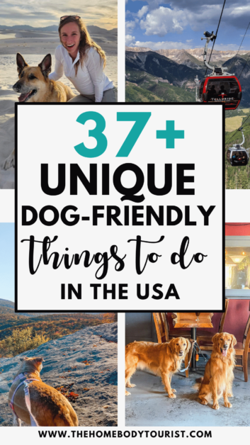 dog-friendly attractions in the united states pin for pinterest