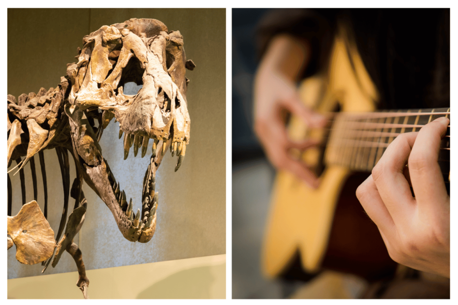 Dinosaur fossils at Michigan's Museum of Natural History and person playing guitar at The Ark during one weekend in ann arbor