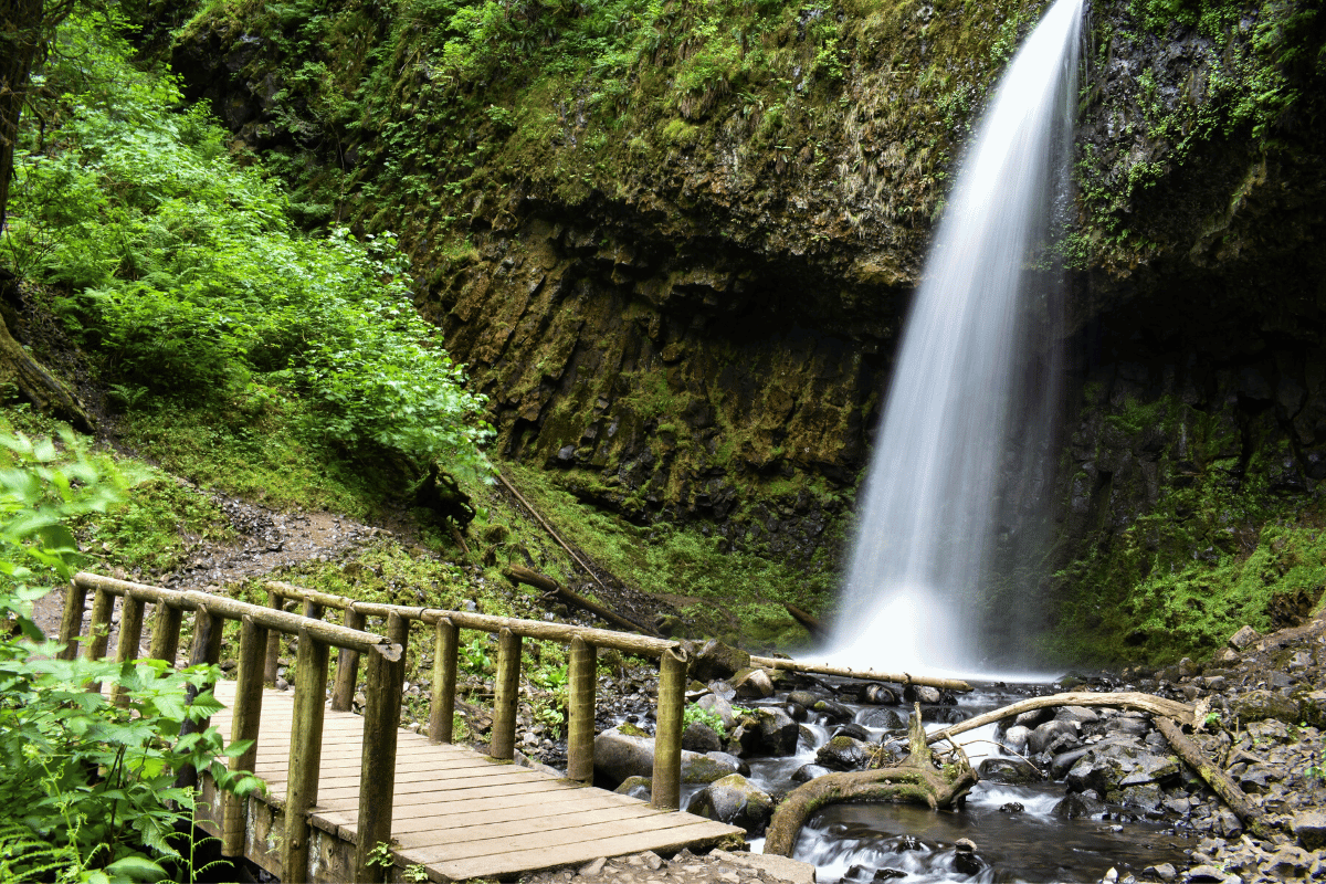 best waterfalls in oregon featured image