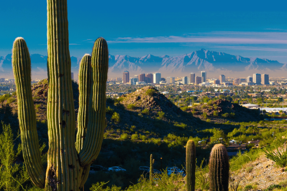 saguaro in phoenix for a warm winter getaway in the usa 