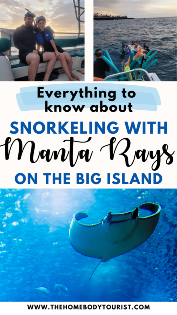 big island manta ray night snorkel pin for pinterest