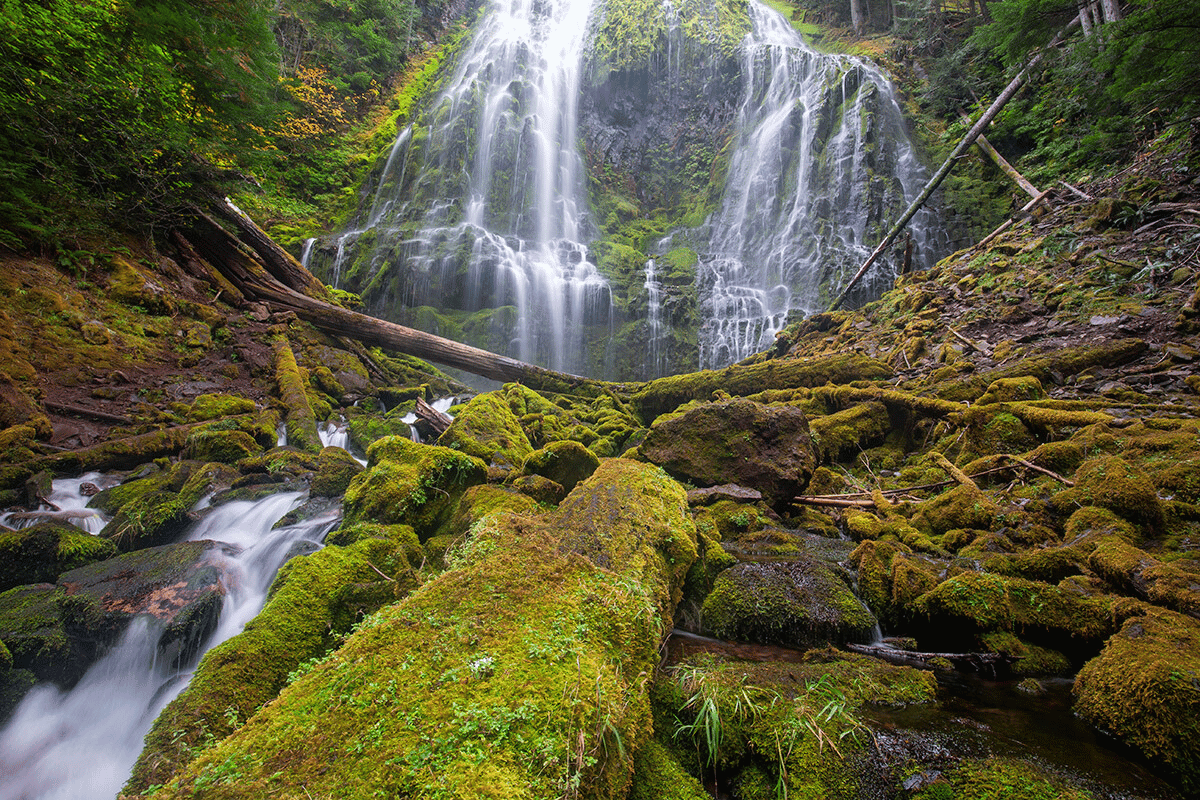 The Most Breathtaking Waterfalls in Oregon - The Homebody Tourist