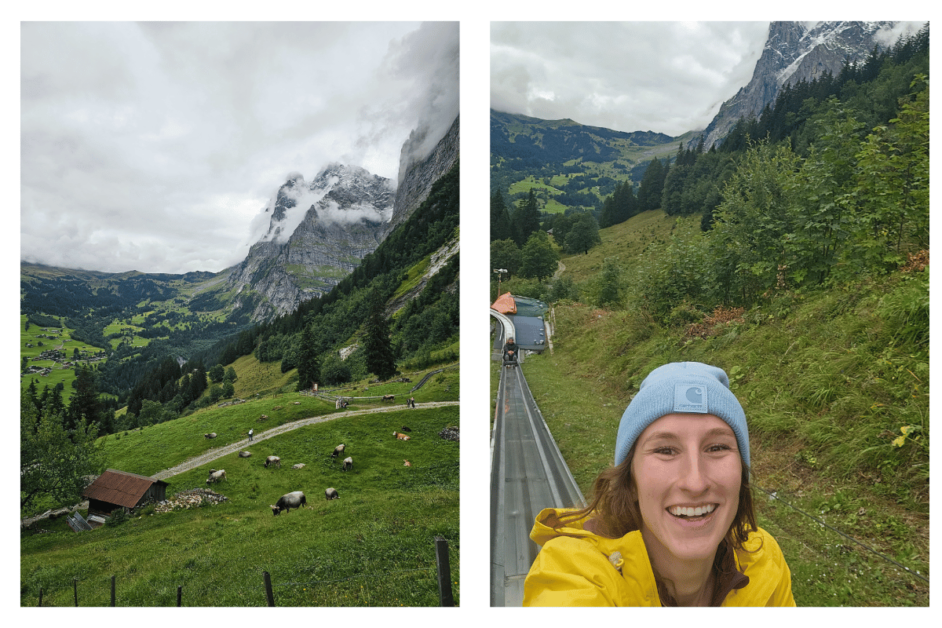 alpine slide in grindelwald