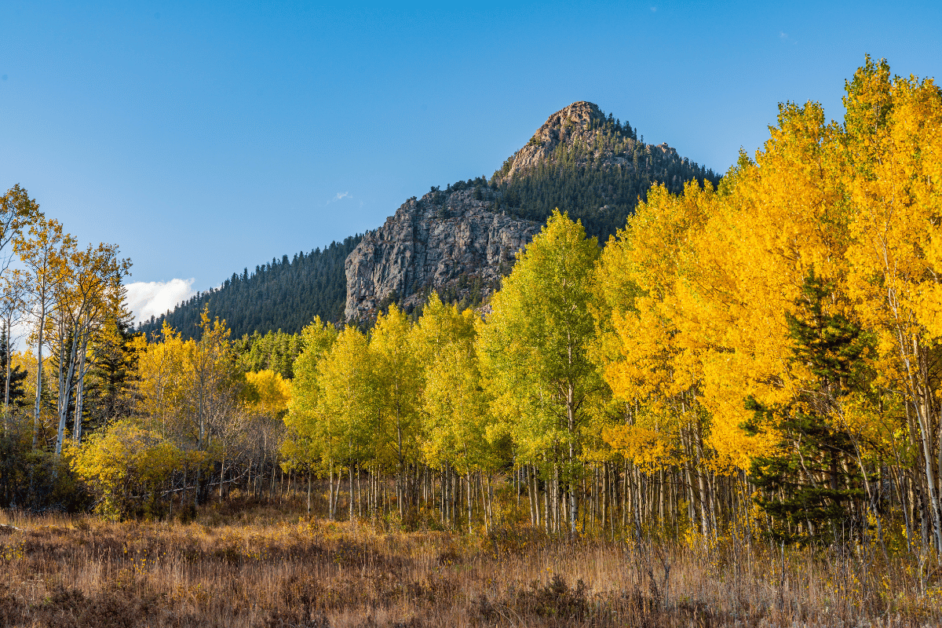 fall colors in idaho springs at golden  gate canyon state park 