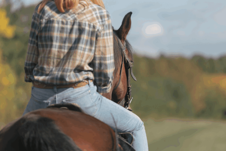 28+ Exciting Things to Do in Idaho Springs, CO The Homebody Tourist