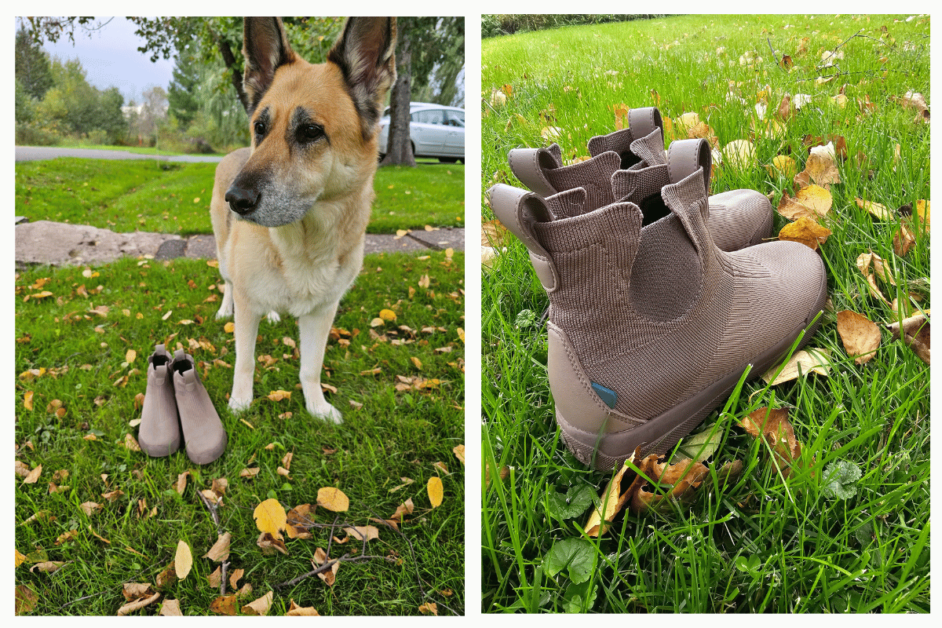 dog next to Vessi Weekend Chelsea boot and a close up of the tab in the back for easy on and off