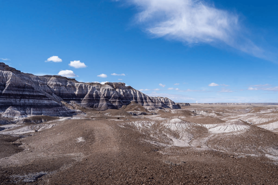 petrified forest with blue sky