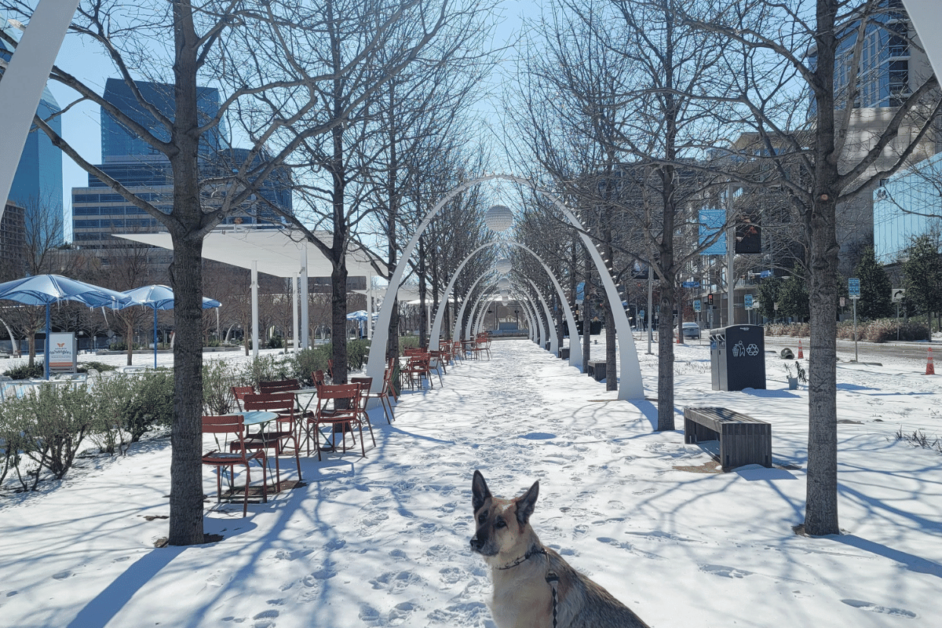 kylde warren park- free date days in Dallas for couples. 