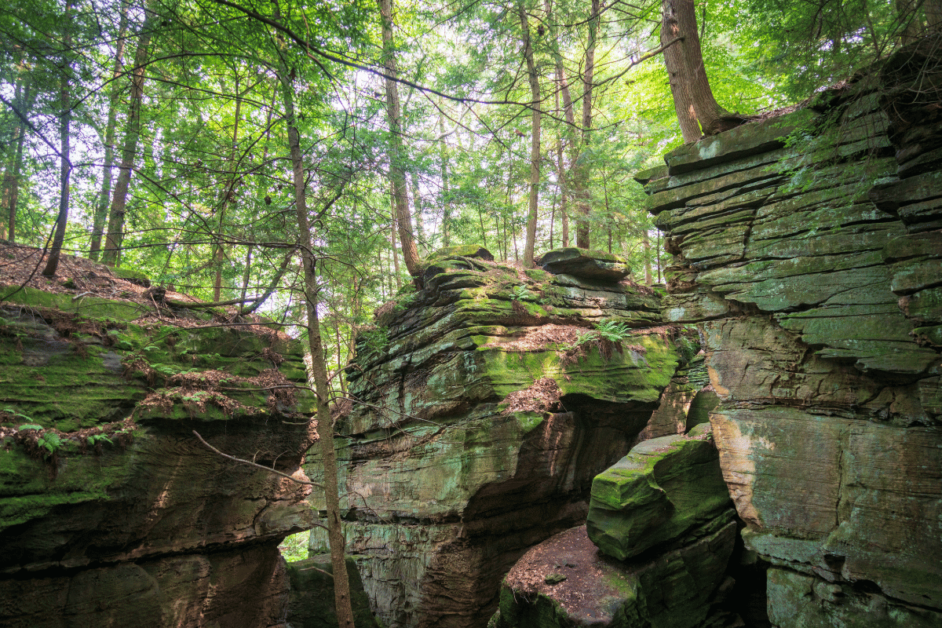 Trail with rocks and moss in Cuyahoga Valley National Park. 