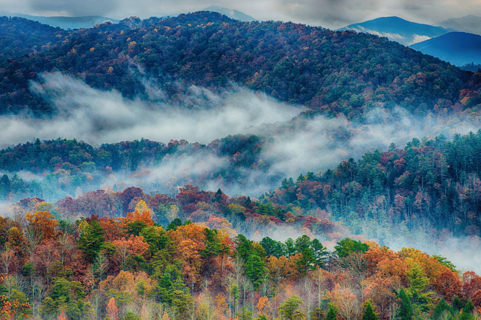 Great Smoky Mountains in the fall with fog. 