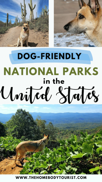 dog-friendly national parks in the united states pin for pinterest.