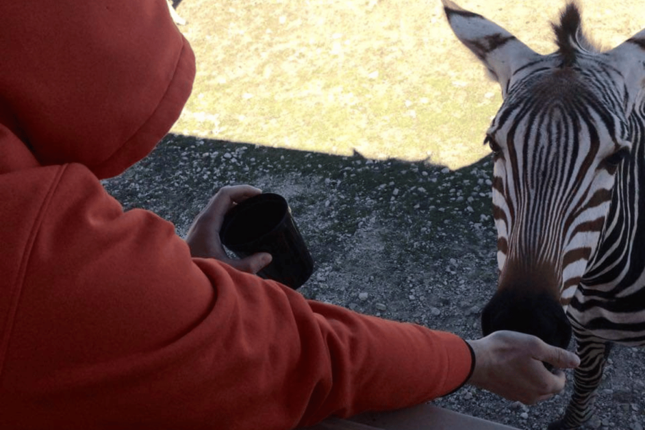 fossil rim wildlife center near dallas. 