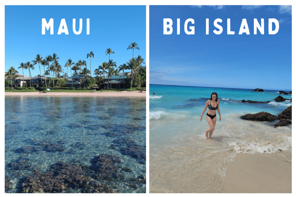 2 different beaches. One on Maui and One of the Big Island. 