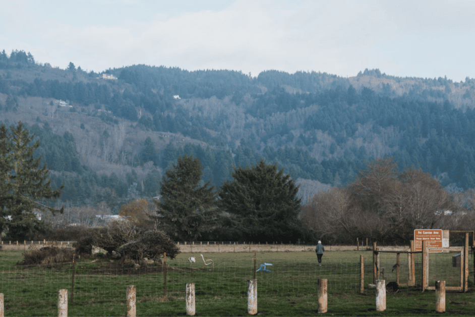 Dog park near grants pass with mountains in the background. 