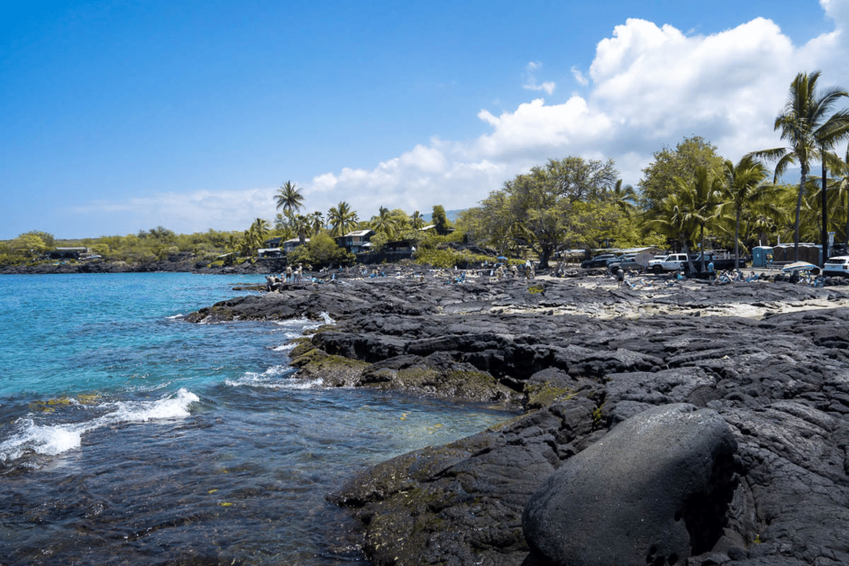 Two Step Beach with hardened lava field and palm trees. 