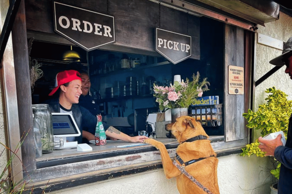 Dogfriendly Guide to Oceanside, CA The Homebody Tourist