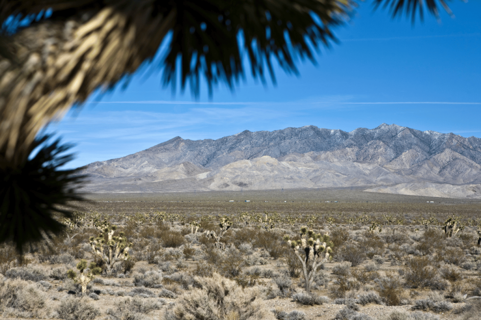 Mojave Desert- relaxing road trips from Las Vegas airport. 