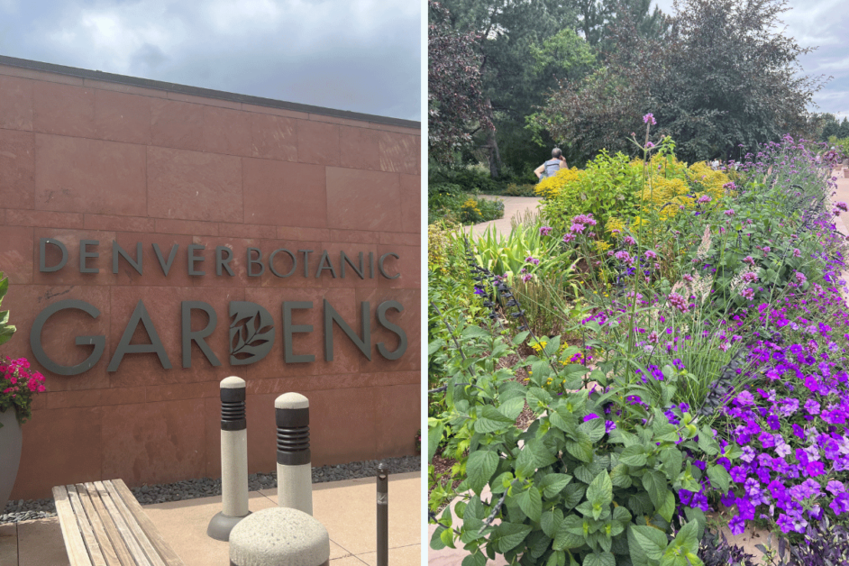 Two images from Denver Botanic Gardens