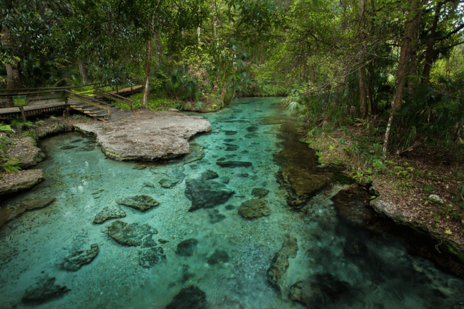Rock Springs Run Reserve springs near Orlando. 