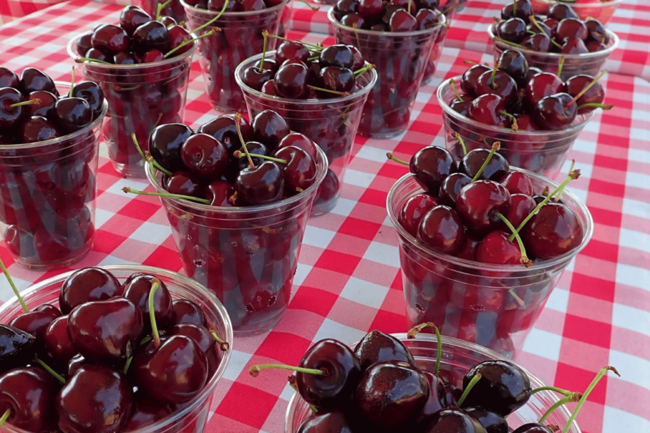 Cherries in plastic cups during Traverse City Cherry Festival. 