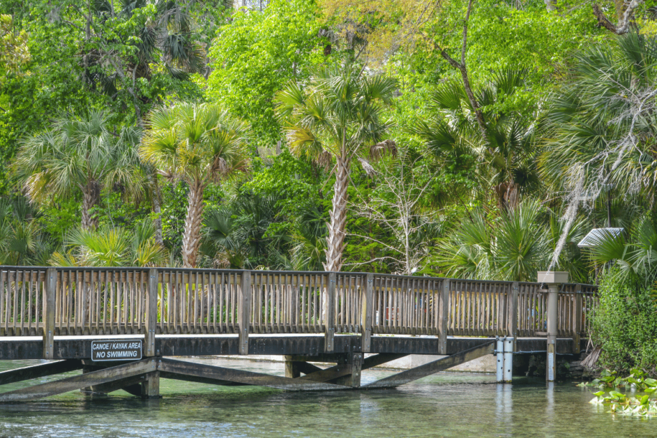 Boardwalk at Wekiwa Springs State Park near Orlando. 
