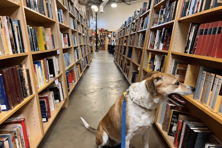 Dog at Weller Books in SLC. 