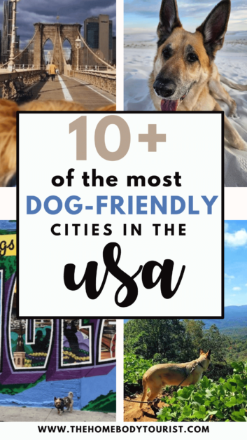 Most dog-friendly citiies in the usa pin for pinterest. 