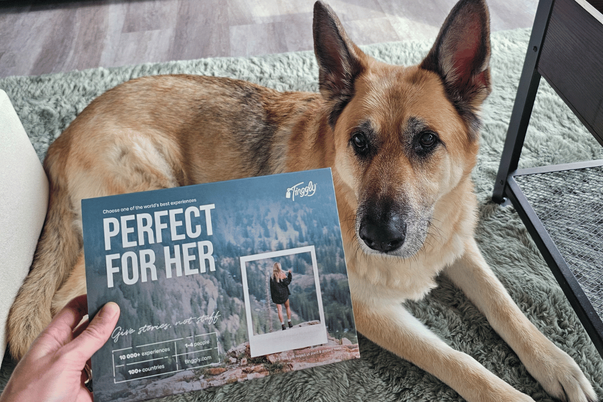 What are Tinggly gift boxes featured image.