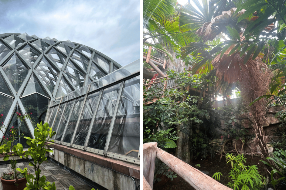 Two images; one of the exterior of the Boettcher Memorial Tropical Conservatory and one of the interior.