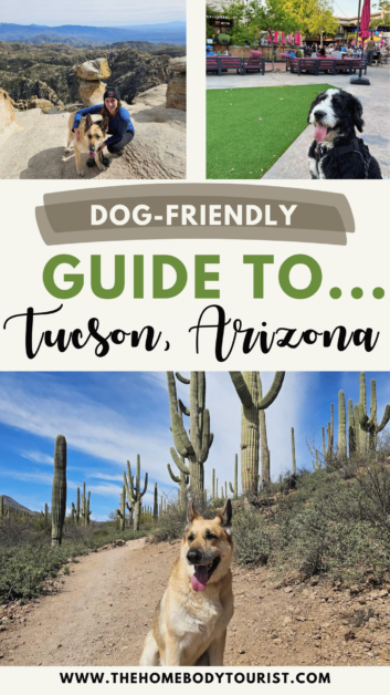 Dog-friendly guide to Tucson, Arizona pin for pinterest. 