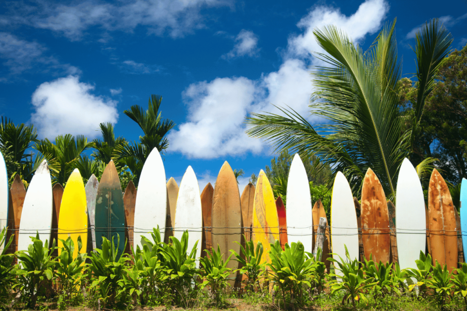 surfboards in hawaii. 