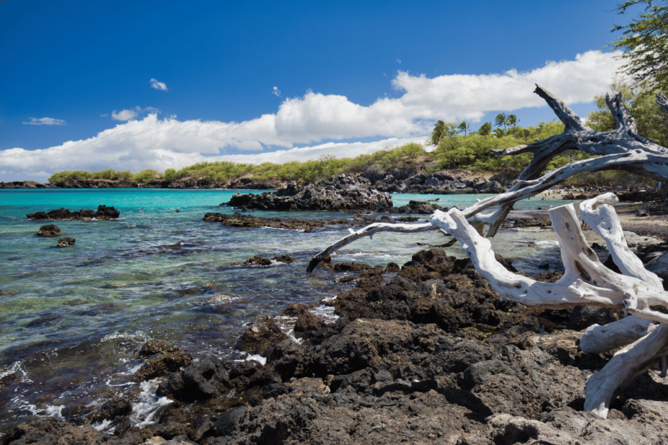 Waialea Bay with black lava rocks and driftwood. 