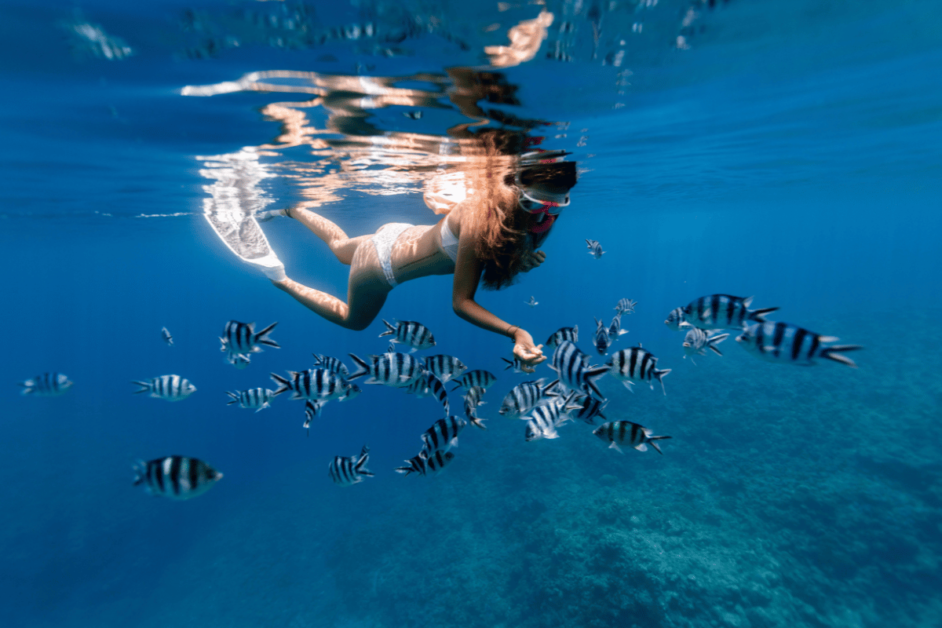 girl snorkeling with fish in hawaii. 