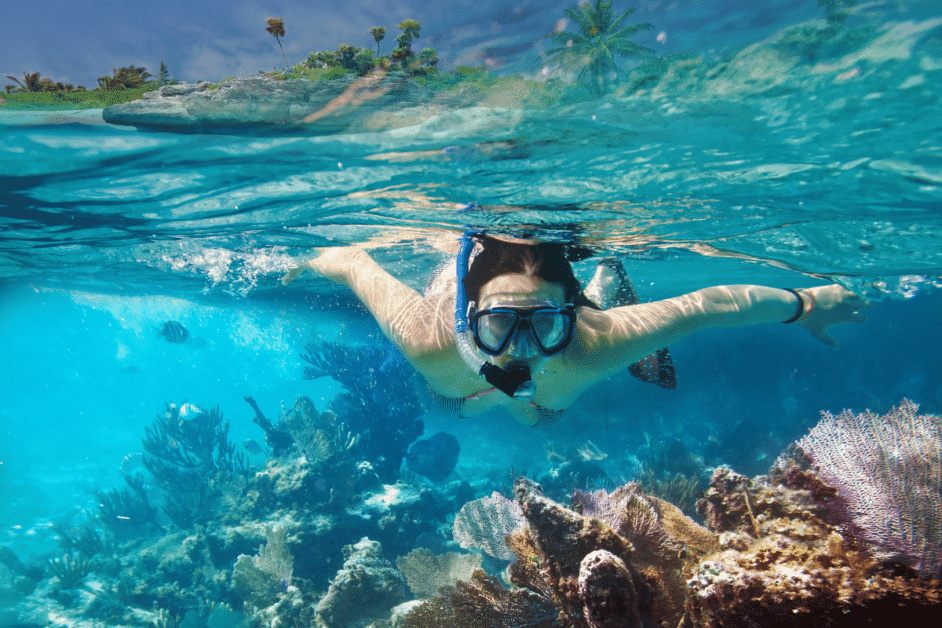 snorkeling on the big island featured image.