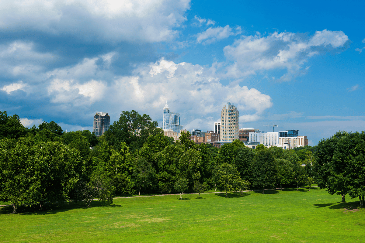 Raleigh NC skyline from Dorothea Dix Park.