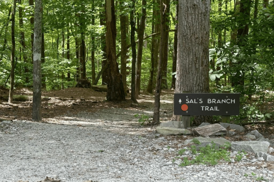 Sal's branch trailhead in raleigh, nc.