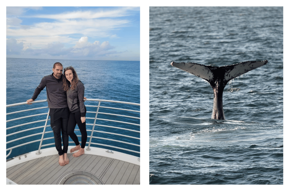 Two people on whale watching boat in Oahu and whale tail above the water. 