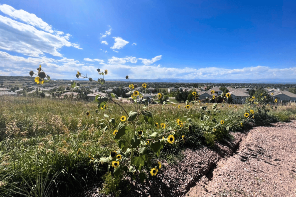 Bluffs Regional Park Trail, Colorado